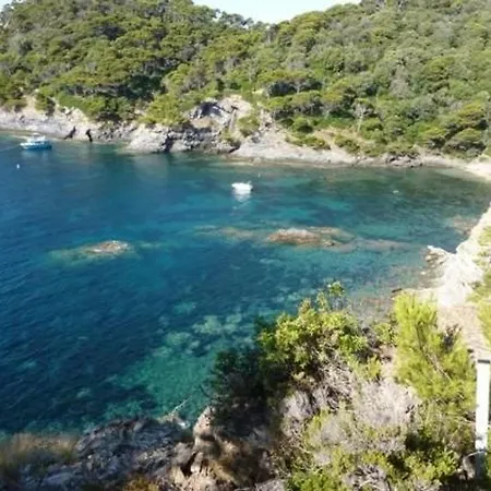 Apartment : 2 Pieces, Jardin Prive, Proche Et Port, Wifi, Parking - Fr-1-335-161