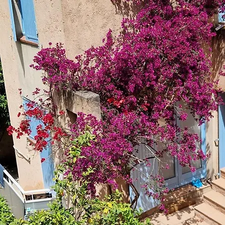 : 2 Pieces, Jardin Prive, Proche Et Port, Wifi, Parking - Fr-1-335-161 דירה *